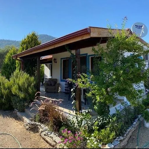 Payam Cicegi Tatil Evleri Villa Datca
