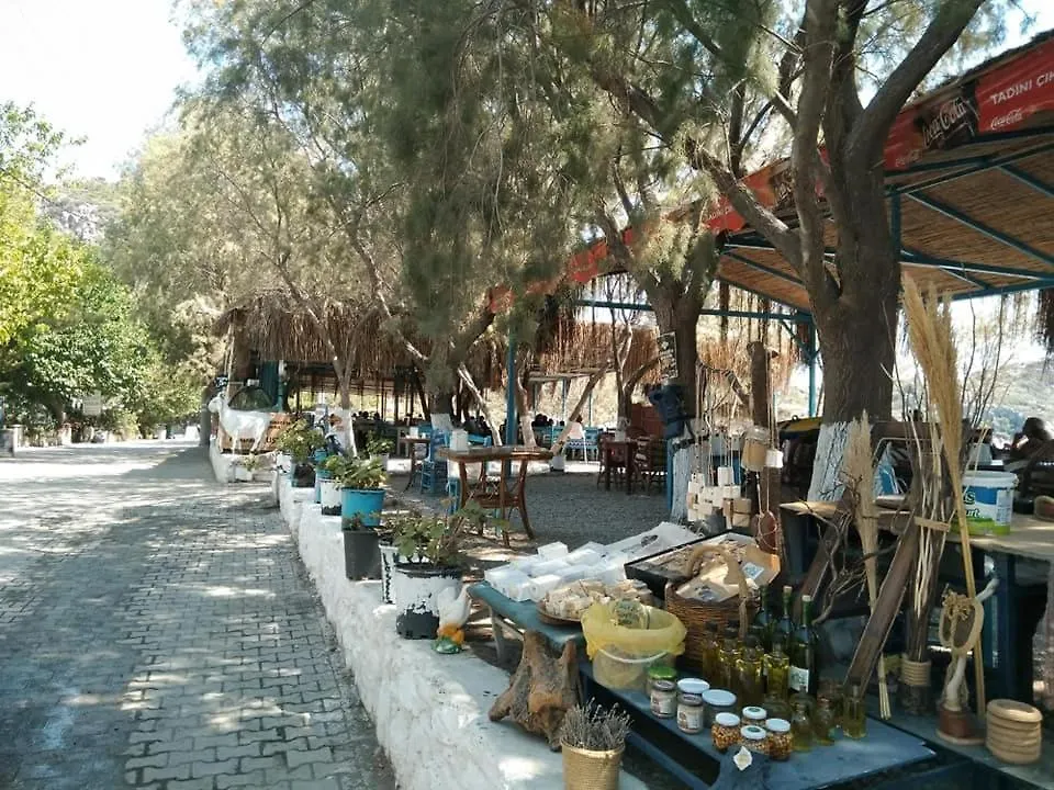 Holiday home Payam Cicegi Tatil Evleri Villa Datca Turkey