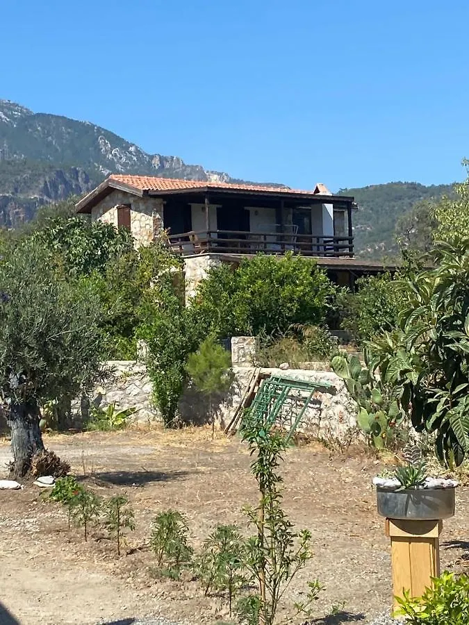 Payam Cicegi Tatil Evleri Villa Datca Turkey