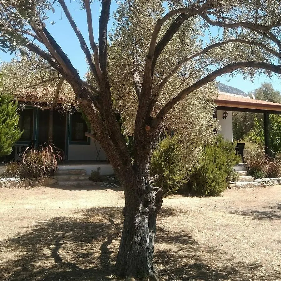 Payam Cicegi Tatil Evleri Villa Datca