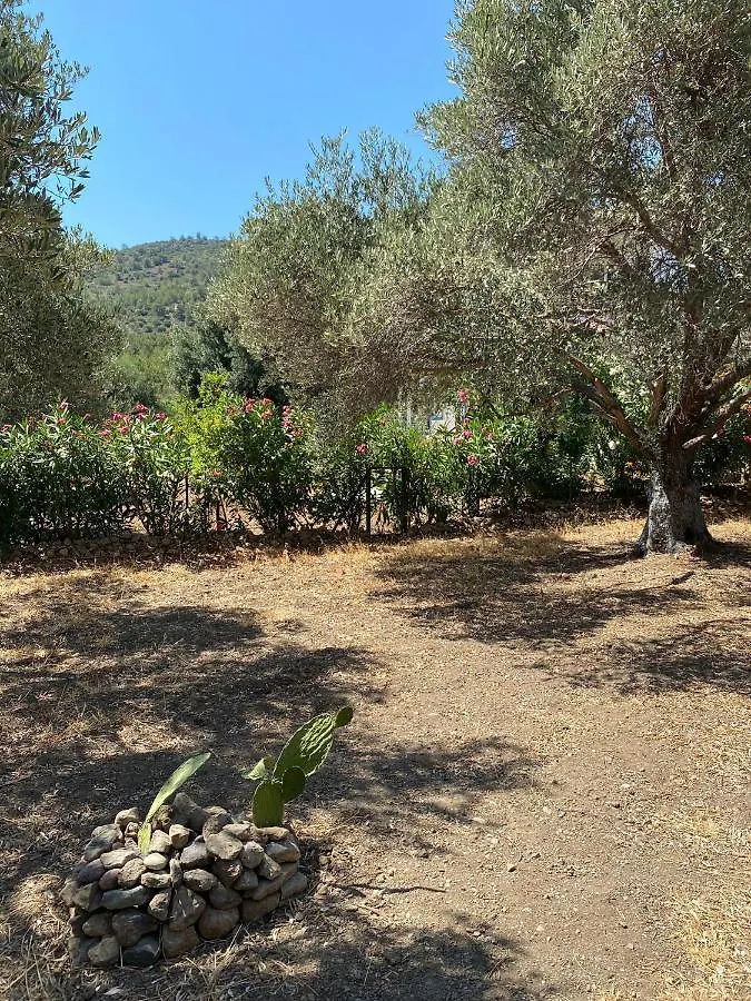 Payam Cicegi Tatil Evleri Villa Datca